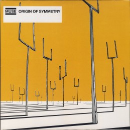 Origin Of Symmetry, 2LP